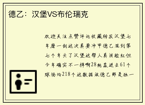 德乙：汉堡VS布伦瑞克